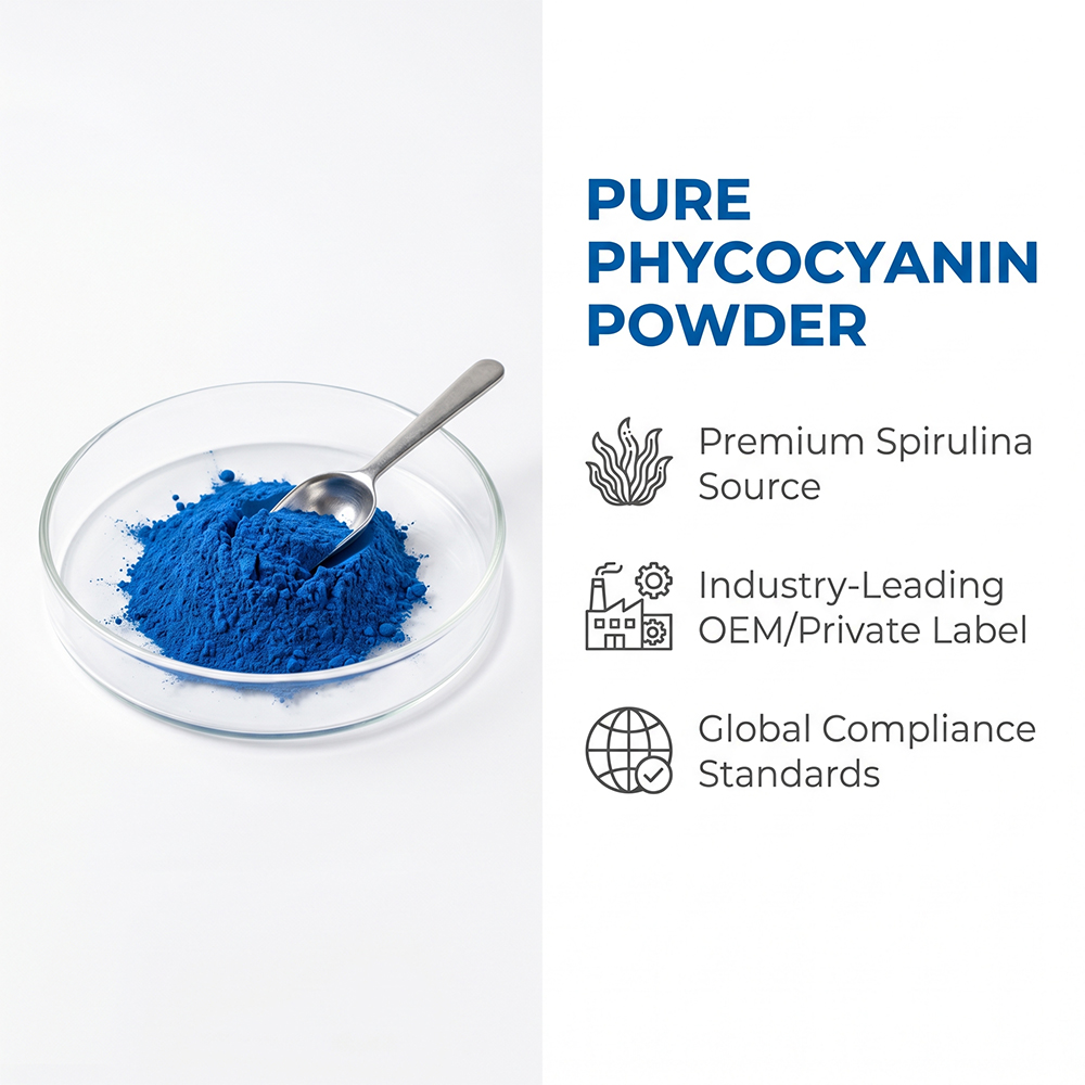 Blue phycocyanin powder