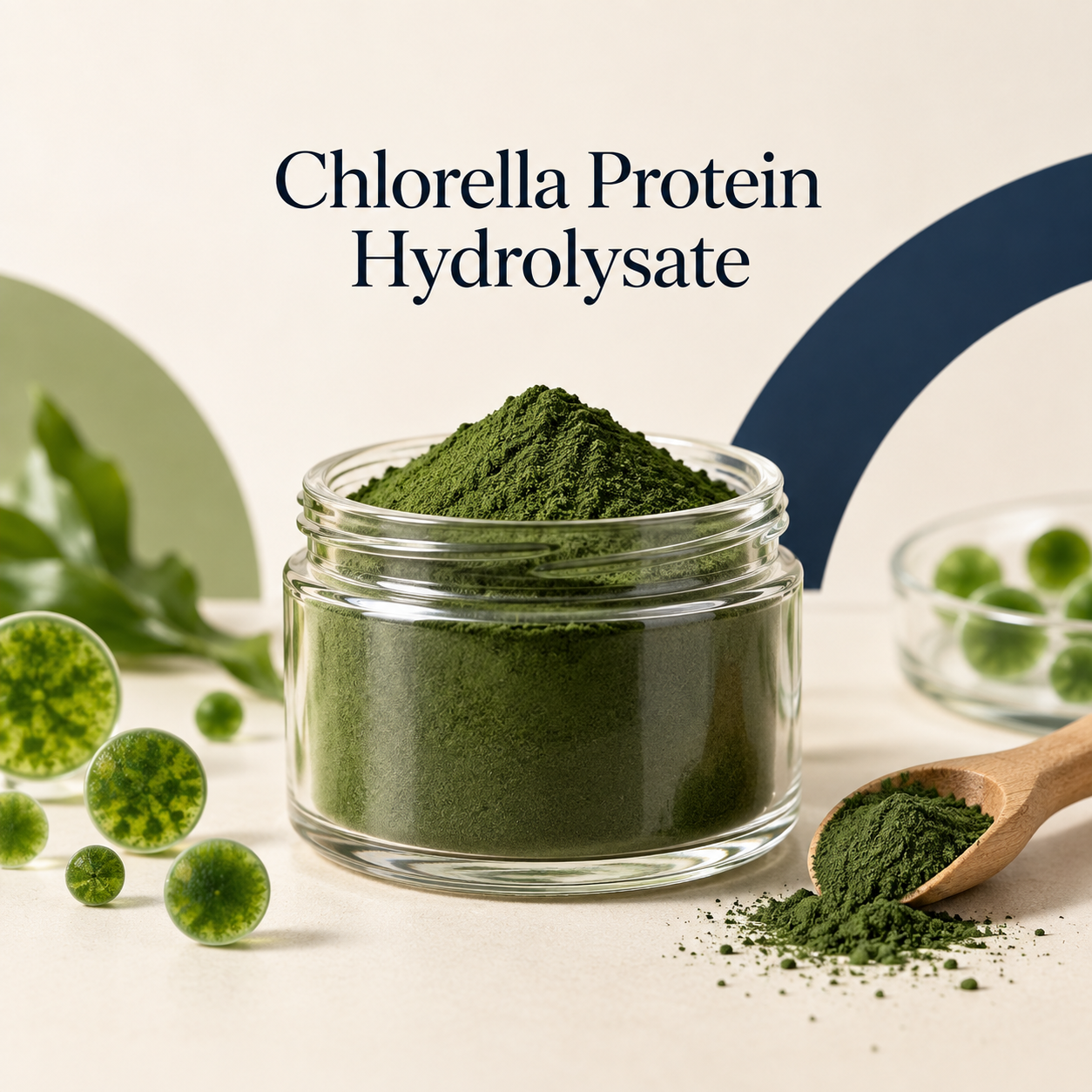Chlorella Protein Hydrolysate for peptide ingredient sourcing