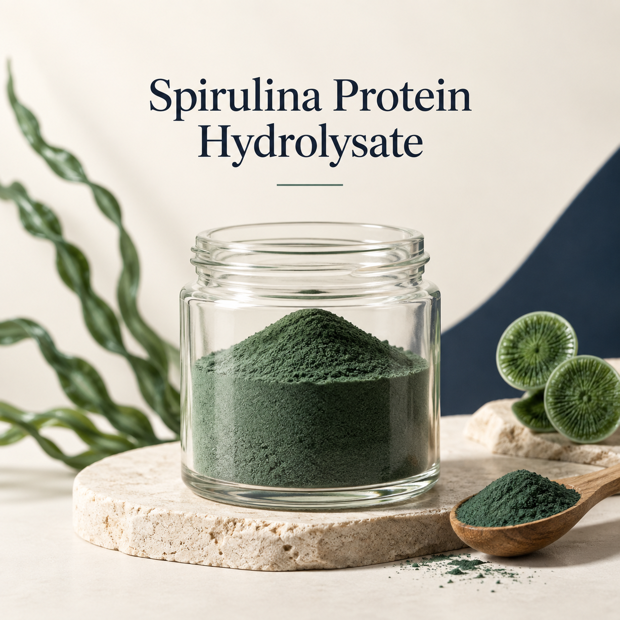 Spirulina Protein Hydrolysate for peptide ingredient sourcing