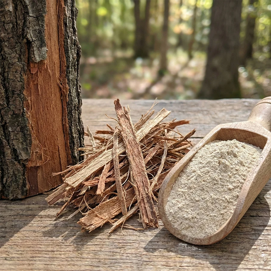 Slippery Elm Bark Powder raw ingredient