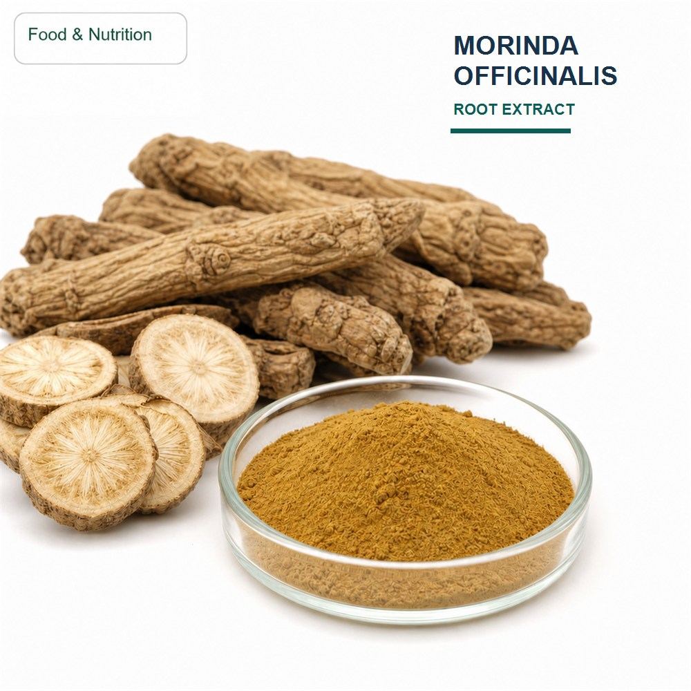 Morinda Officinalis Root Extract ingredient