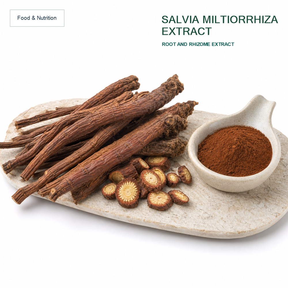Salvia Miltiorrhiza Extract for Bulk Ingredient Sourcing