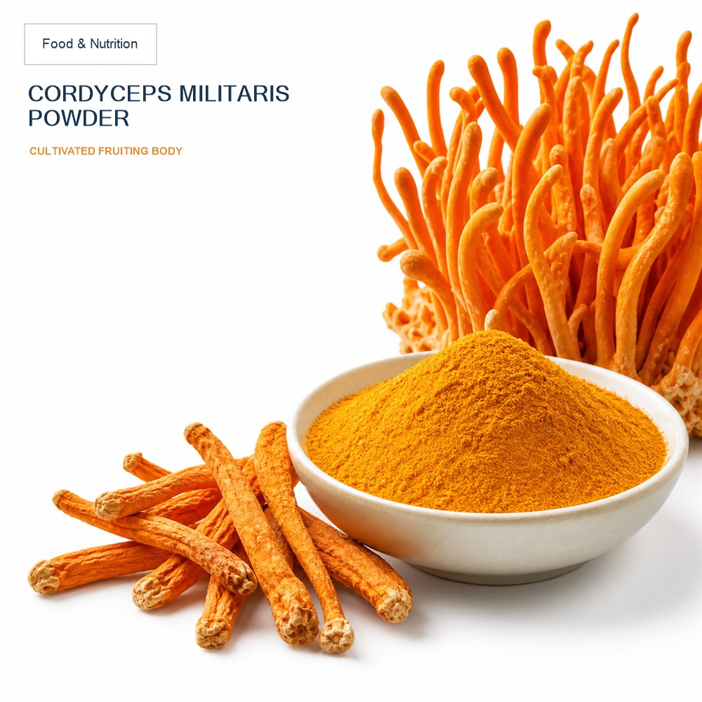 Cordyceps Sinensis Powder for Bulk Ingredient Sourcing