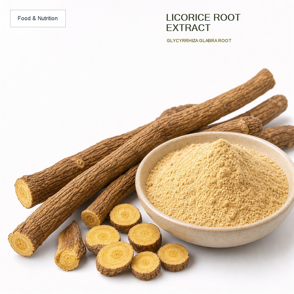 Glycyrrhiza Glabra Root Extract for Bulk Ingredient Sourcing