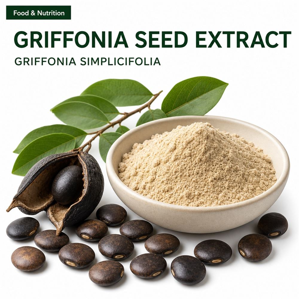 Griffonia Seed Extract for Bulk Ingredient Sourcing