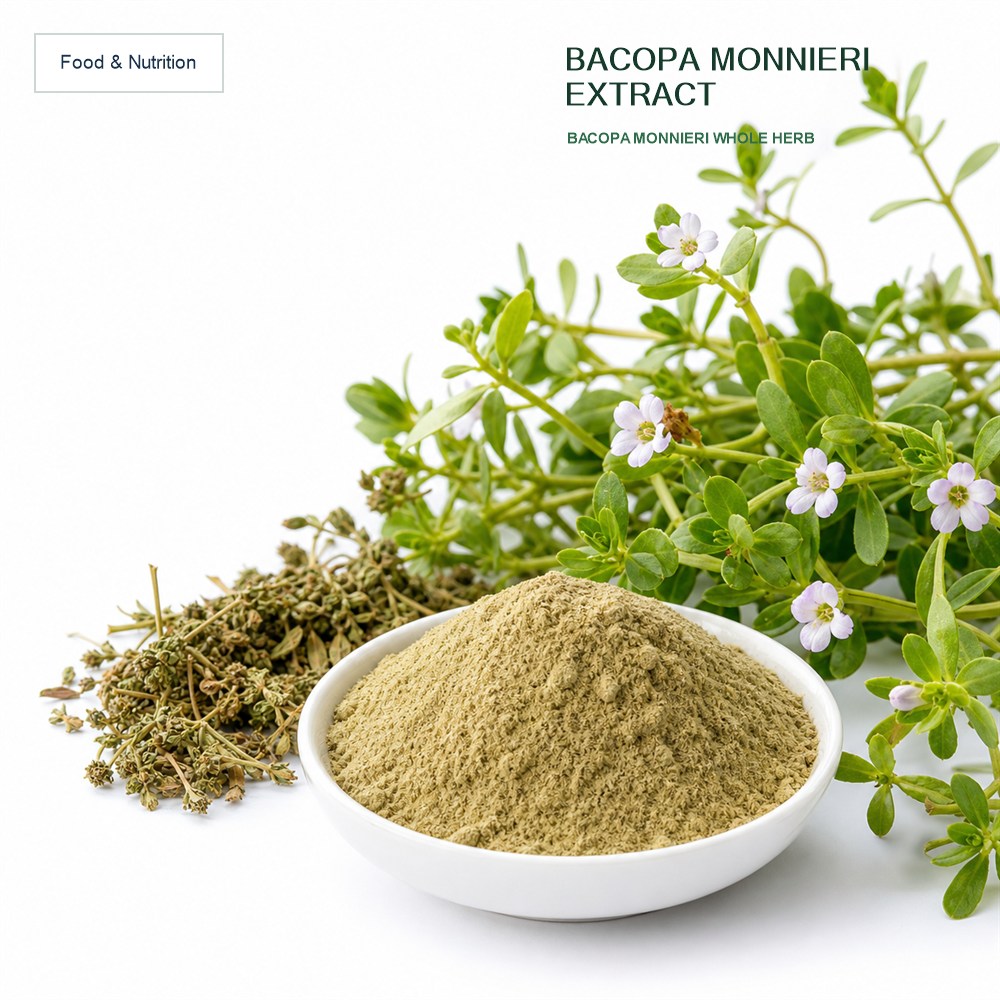 Bacopa Monnieri Extract for Bulk Ingredient Sourcing