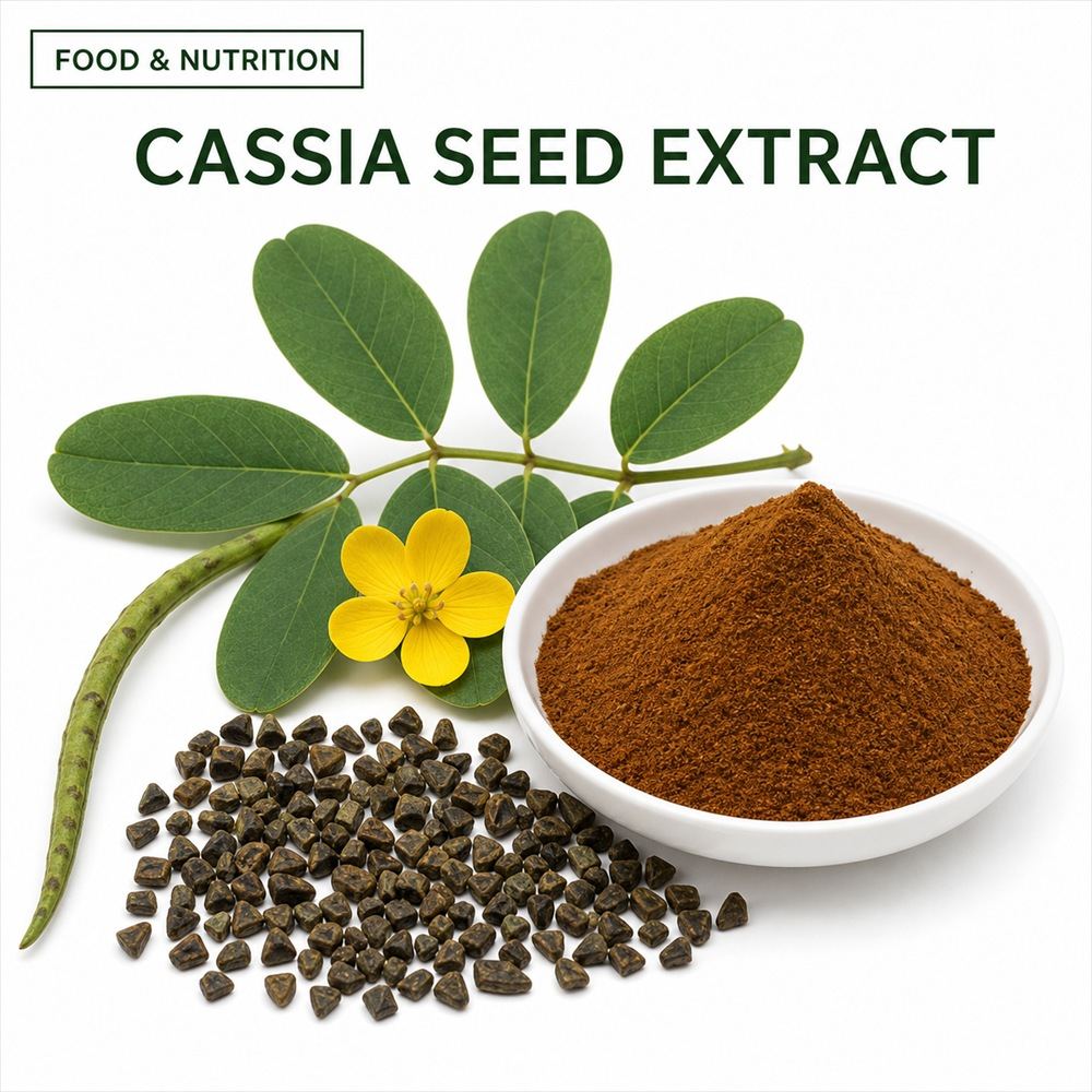 Cassia Seed Extract for Bulk Ingredient Sourcing