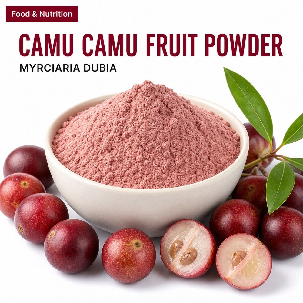 Camu Camu Powder for Bulk Ingredient Sourcing