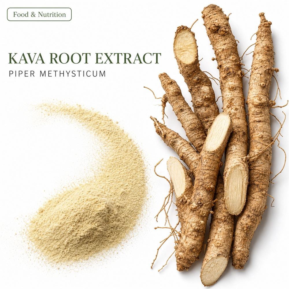Kava Extract Powder for Bulk Ingredient Sourcing