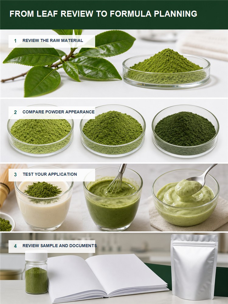 Matcha Powder for Bulk Ingredient Sourcing product detail image 8