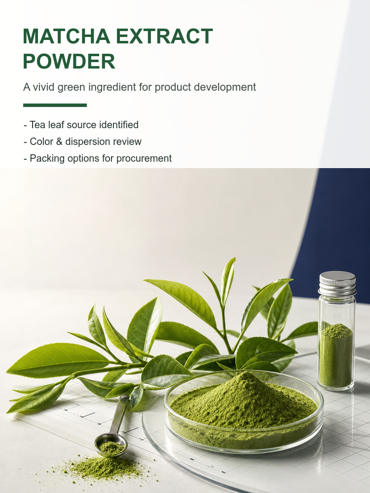 Matcha Extract for Bulk Ingredient Sourcing product detail image 7