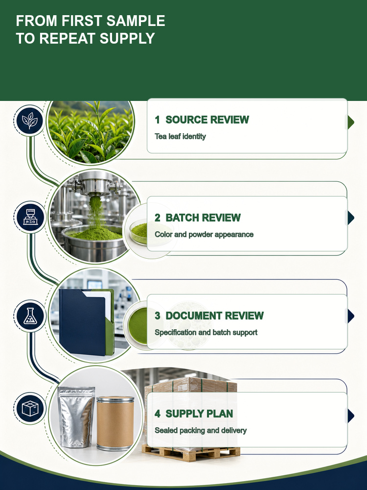 Matcha Extract for Bulk Ingredient Sourcing product detail image 9