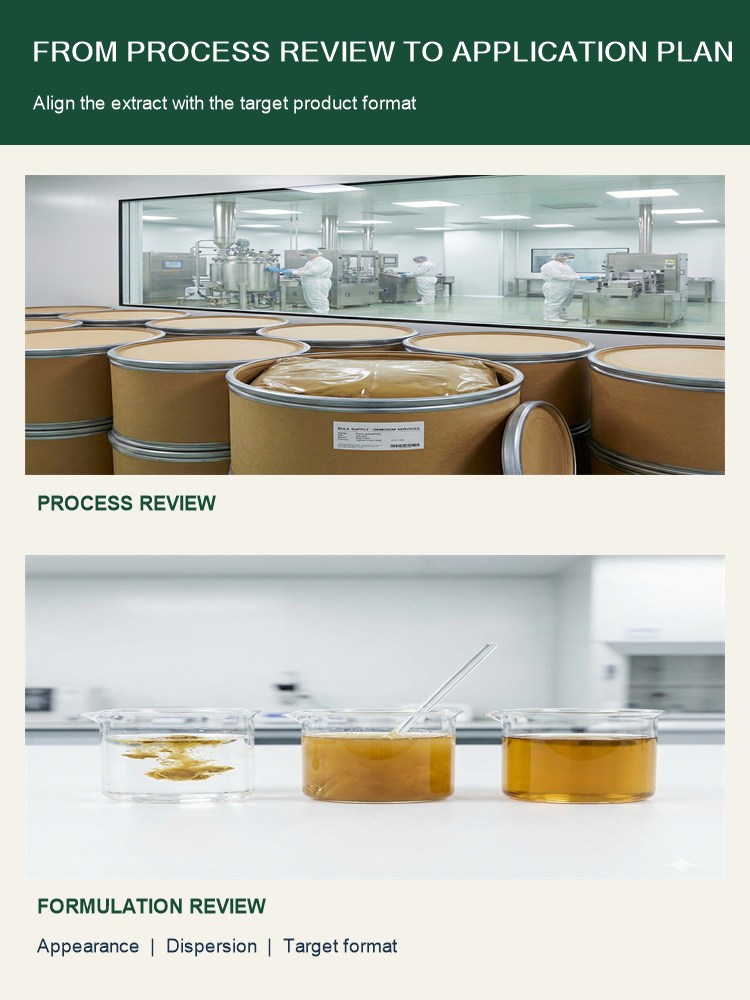 Paris Polyphylla Extract Powder for Bulk Ingredient Sourcing product detail image 8