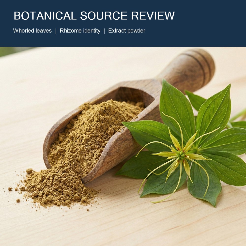 Paris Polyphylla Extract Powder for Bulk Ingredient Sourcing product detail image 5