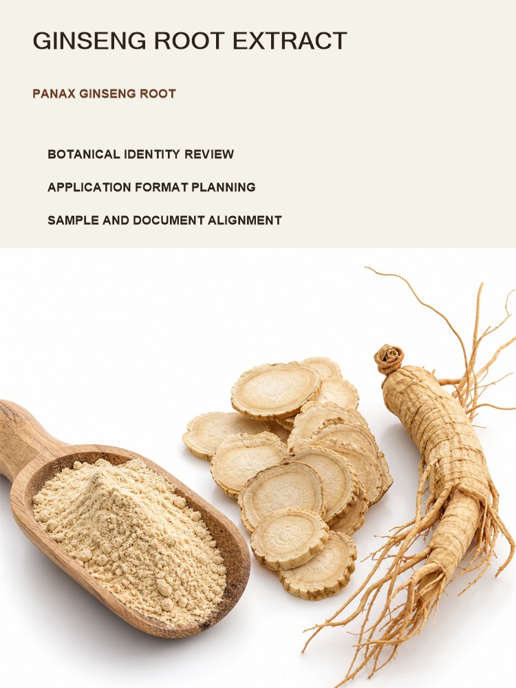Ginseng Extract Powder for Bulk Ingredient Sourcing product detail image 7