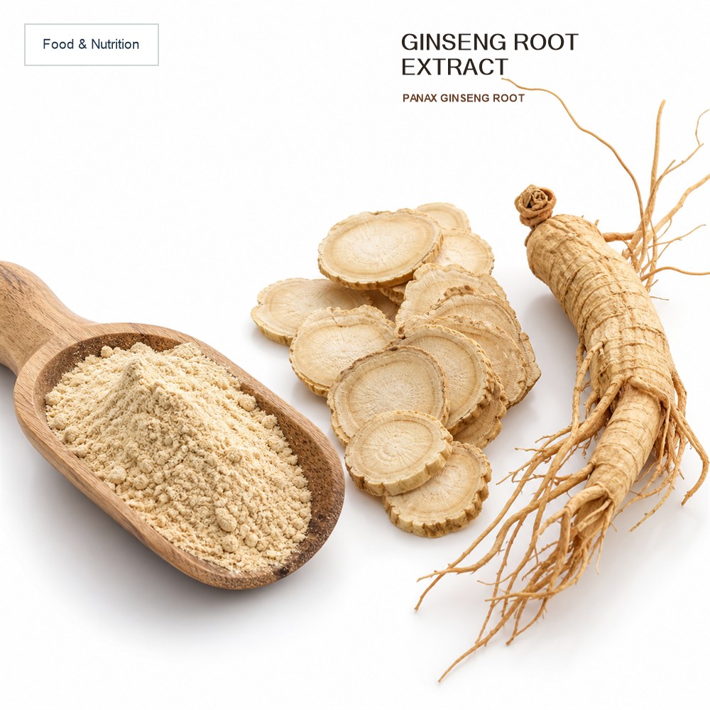 Ginseng Extract Powder for Bulk Ingredient Sourcing