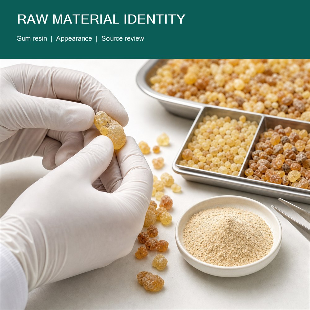 Frankincense Extract for Bulk Ingredient Sourcing product detail image 2