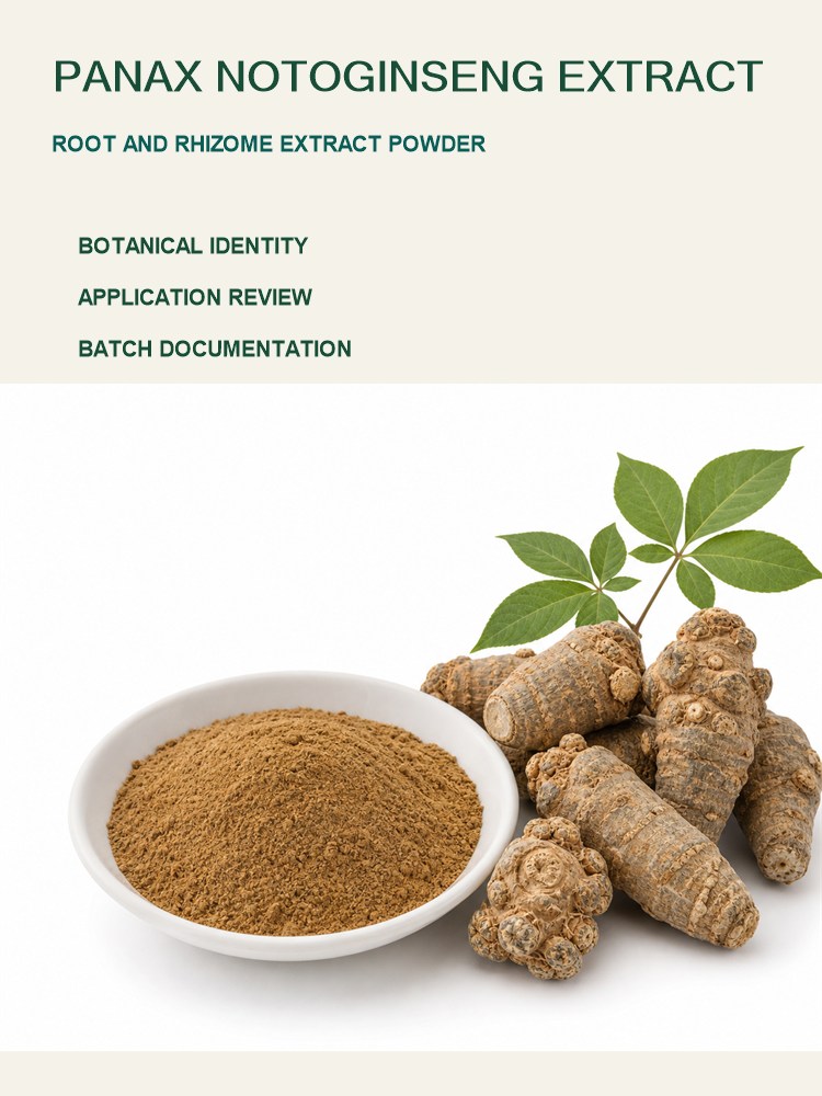 Panax Notoginseng Extract for Bulk Ingredient Sourcing product detail image 7