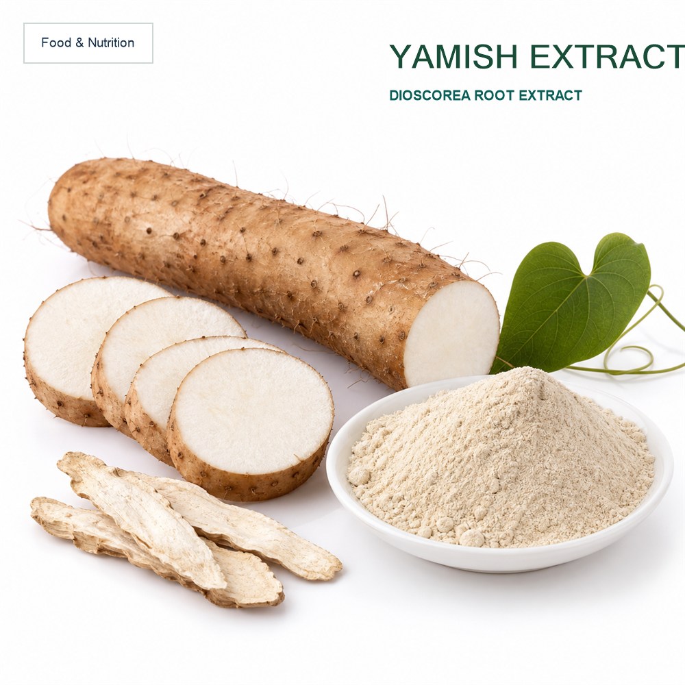 Chinese Yam Extract for Bulk Ingredient Sourcing