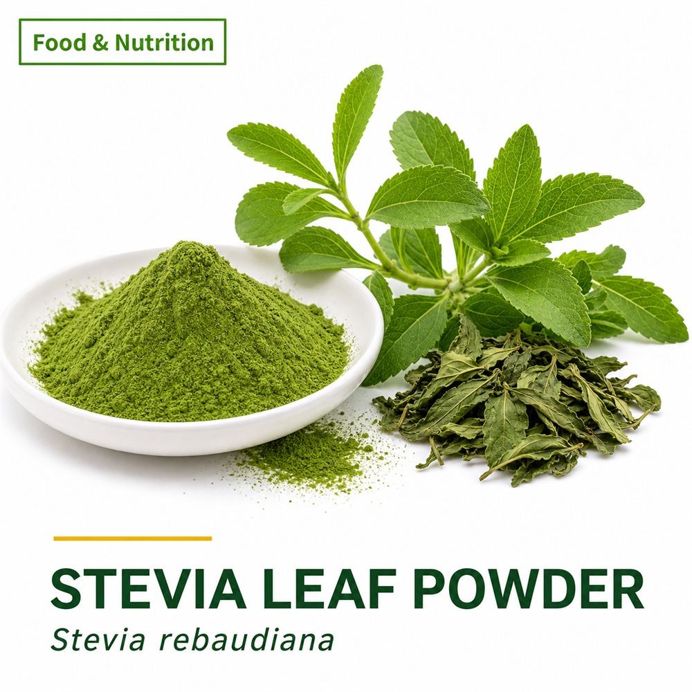 Stevia Leaf Powder for Bulk Ingredient Sourcing