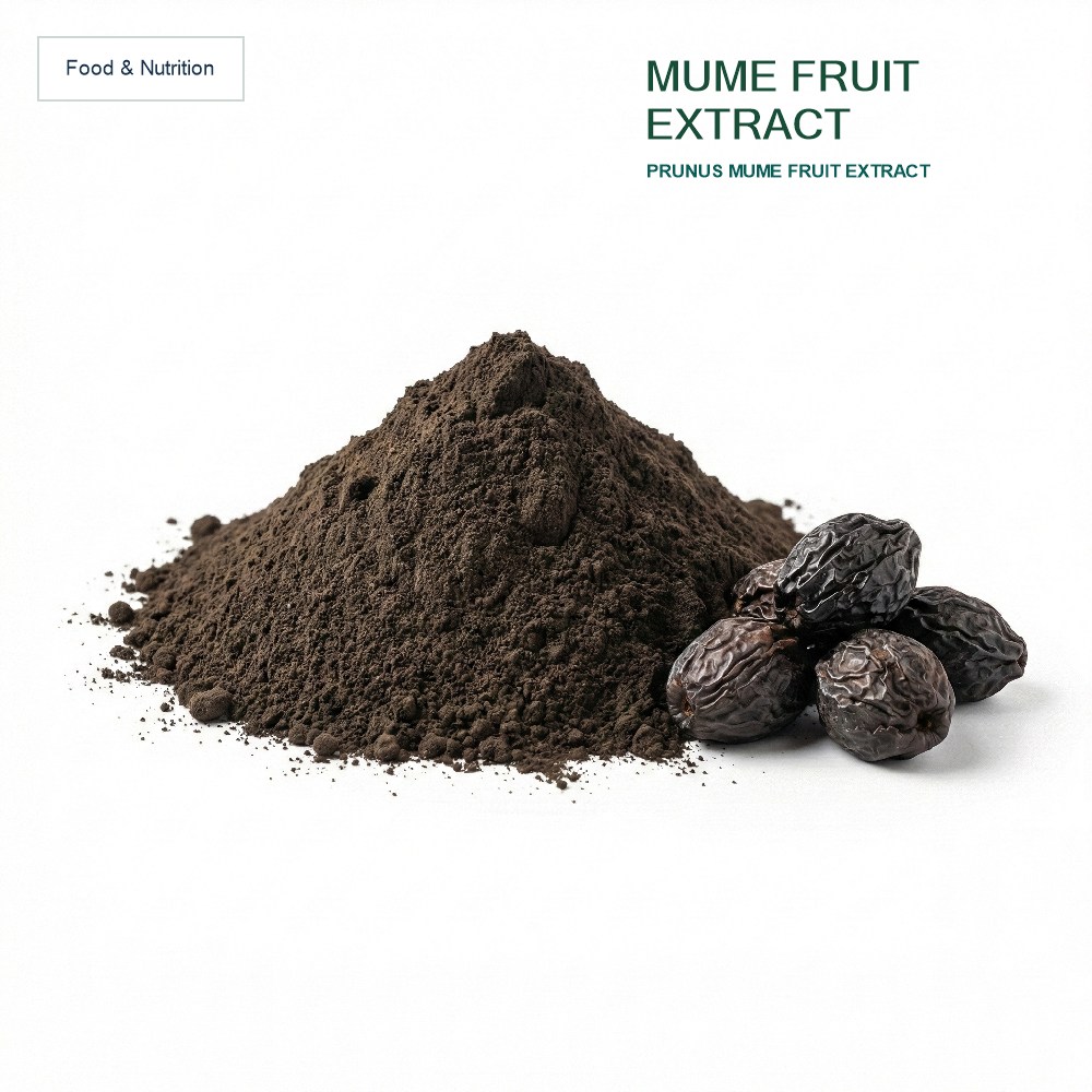 Smoked Plum Extract for Bulk Ingredient Sourcing