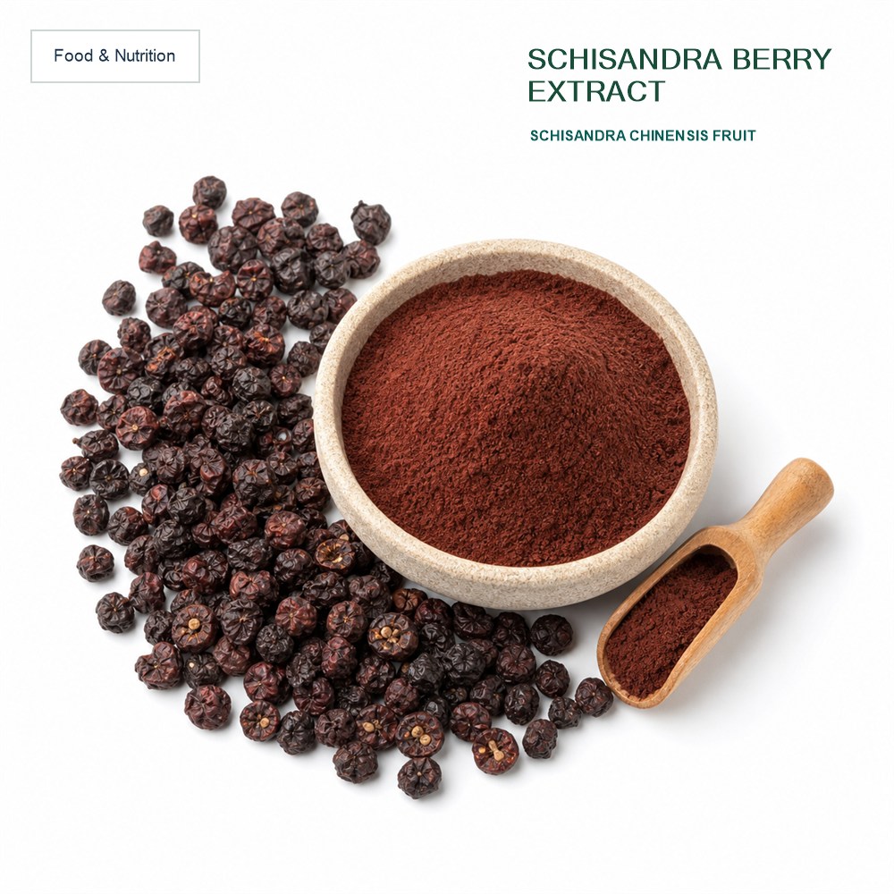Schisandra Berry Extract for Bulk Ingredient Sourcing