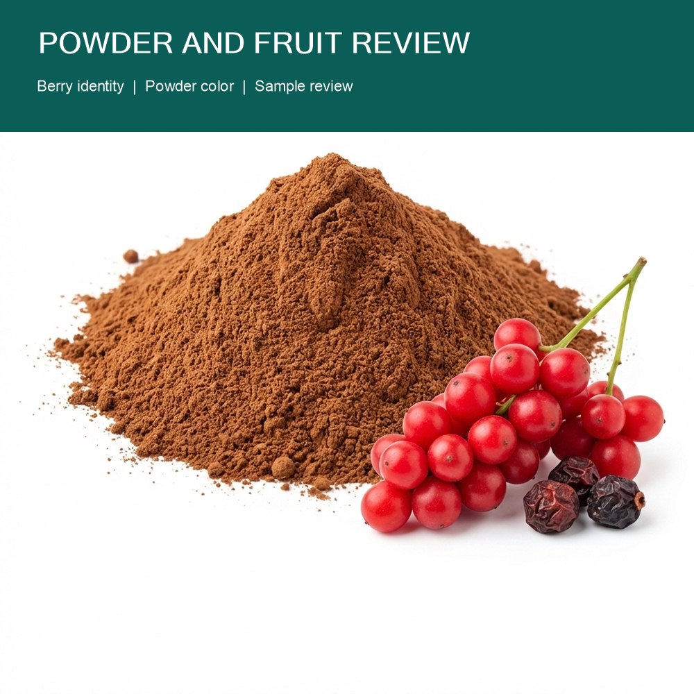 Schisandra Extract Powder for Bulk Ingredient Sourcing product detail image 2