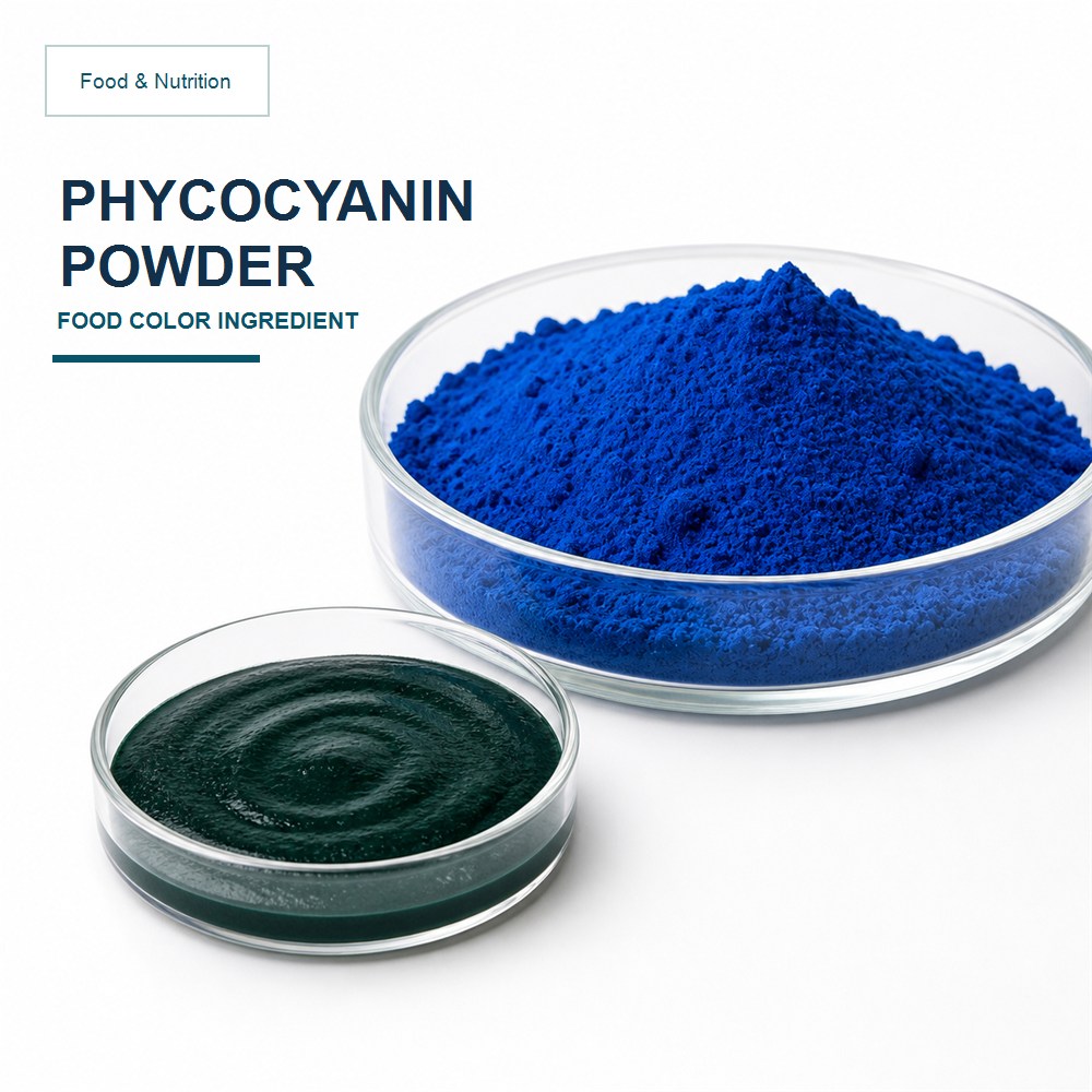 Phycocyanin Extract Powder for Bulk Ingredient Sourcing
