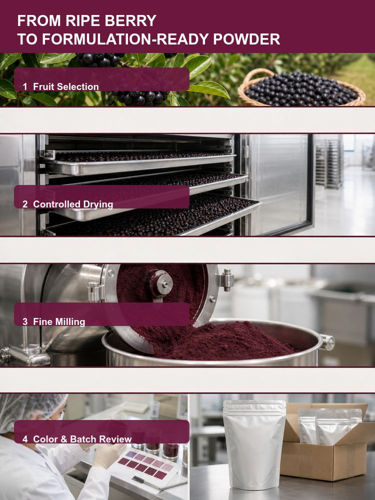 Aronia Berry Powder for Bulk Ingredient Sourcing product detail image 8