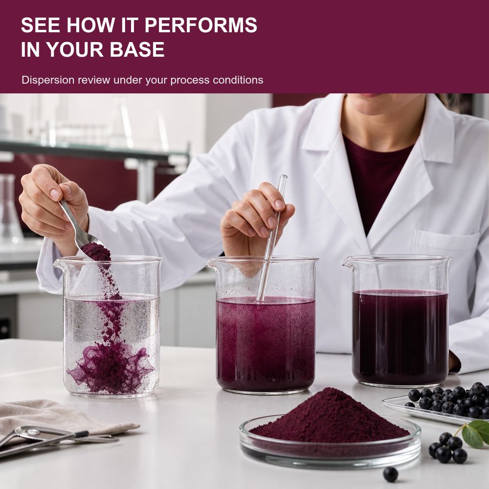 Aronia Berry Powder for Bulk Ingredient Sourcing product detail image 4