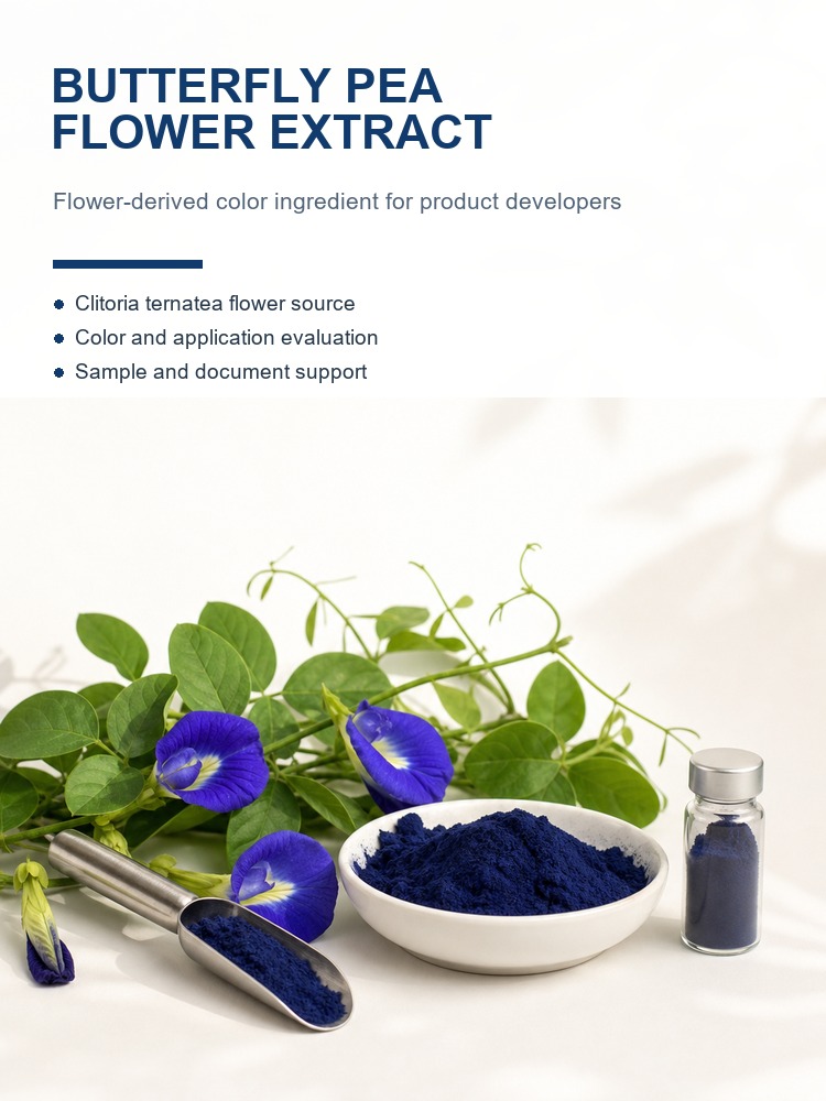 Butterfly Pea Flower Extract for Bulk Ingredient Sourcing product detail image 7
