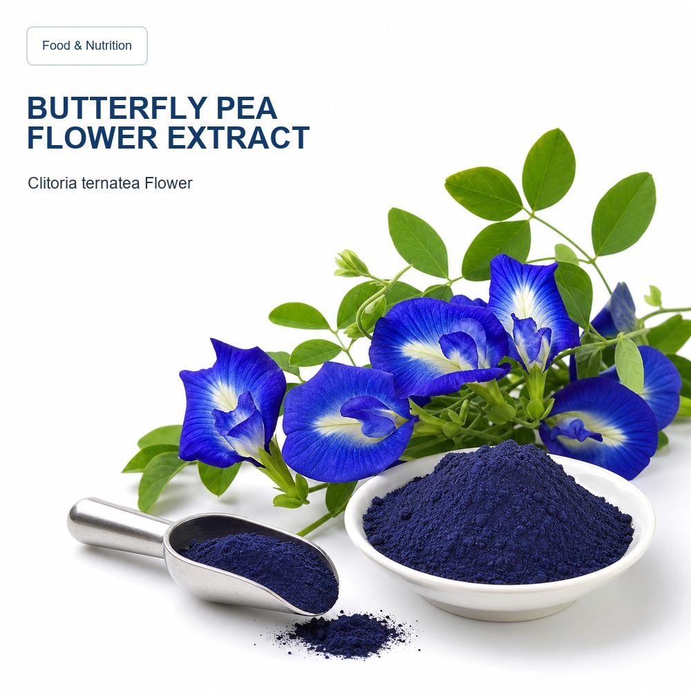 Butterfly Pea Flower Extract for Bulk Ingredient Sourcing