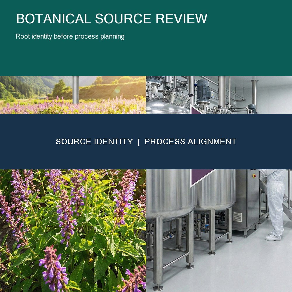 Salvia Miltiorrhiza Extract Split-A for Bulk Ingredient Sourcing product detail image 6