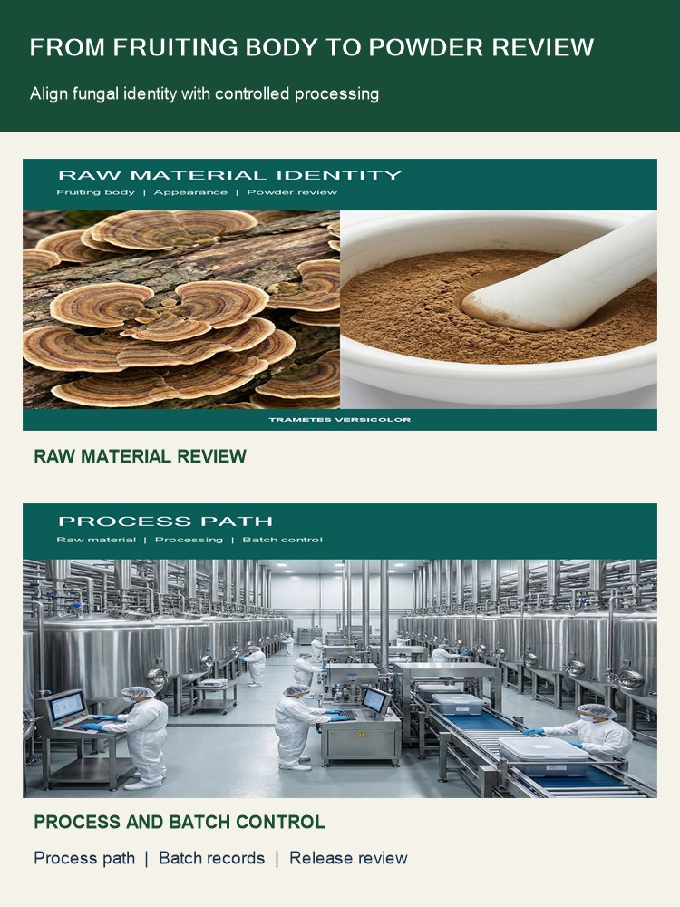 Turkey Tail Mushroom Powder for Bulk Ingredient Sourcing product detail image 8