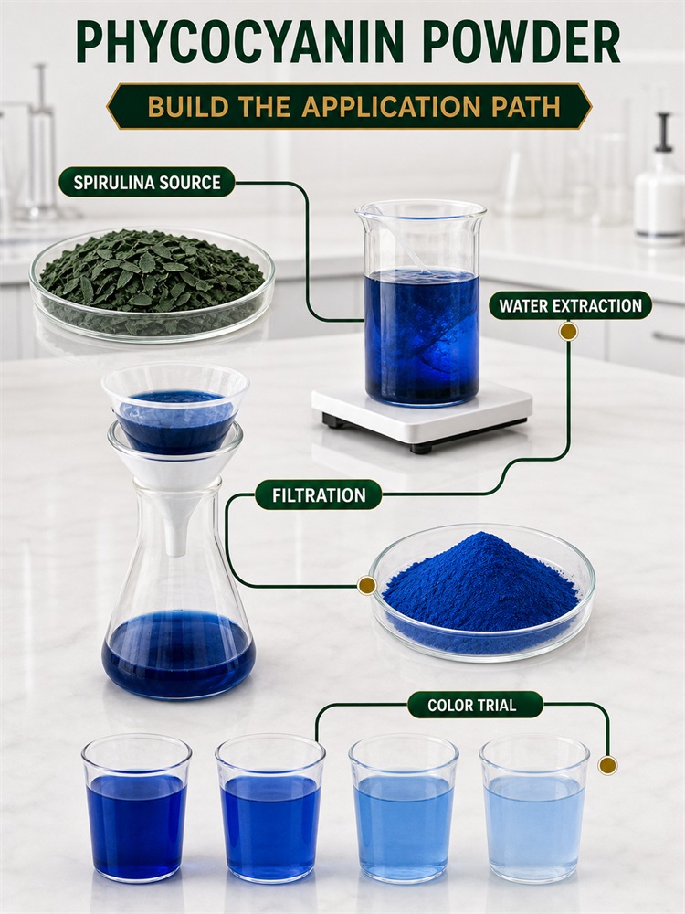 Phycocyanin for Food Ingredient Sourcing product detail image 8