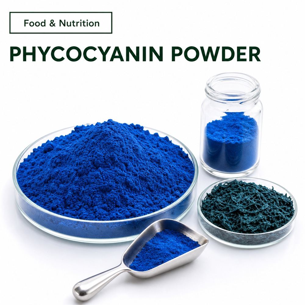 Phycocyanin for Food Ingredient Sourcing