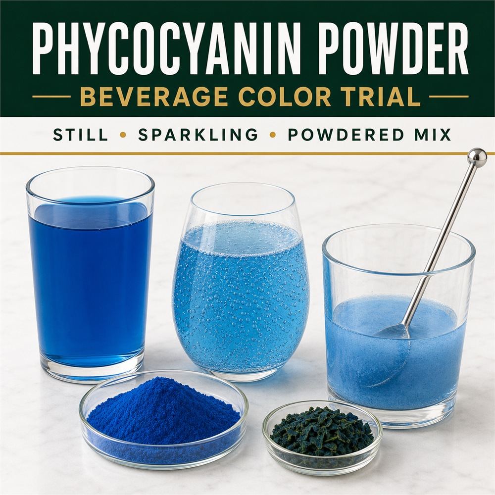 Phycocyanin for Food Ingredient Sourcing product detail image 3