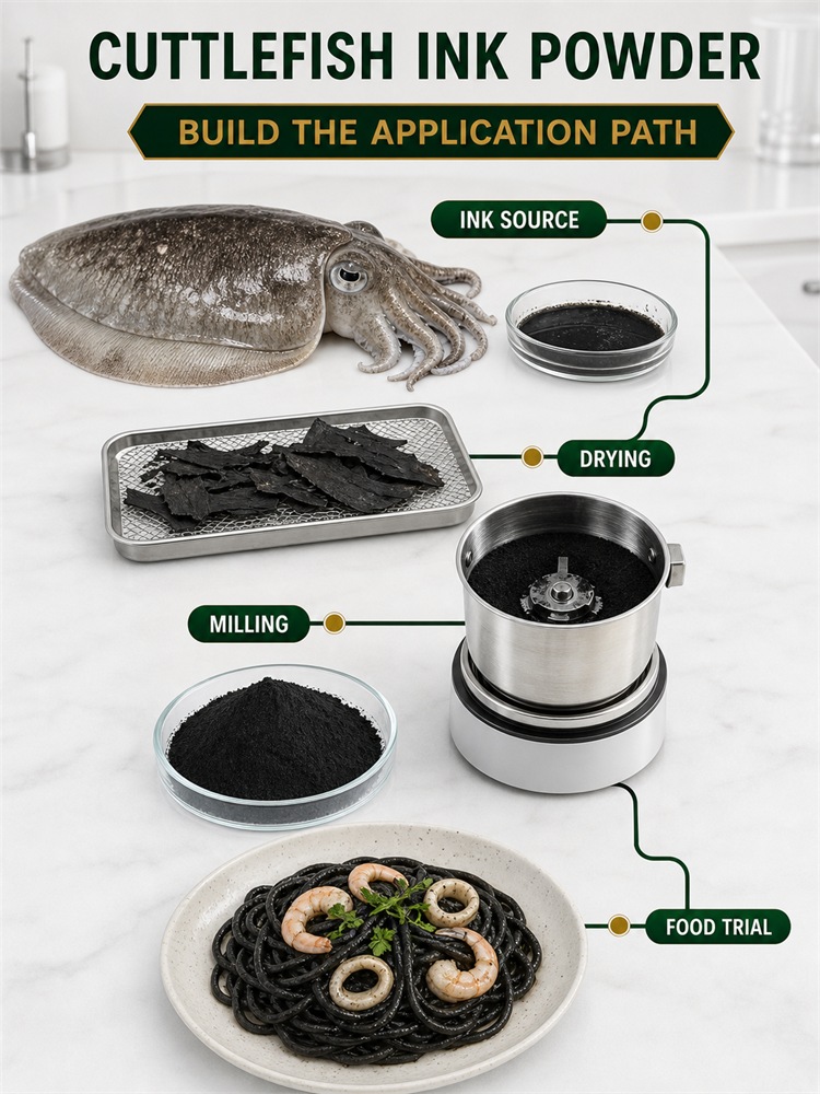 Cuttlefish Ink Powder for Food Ingredient Sourcing product detail image 8