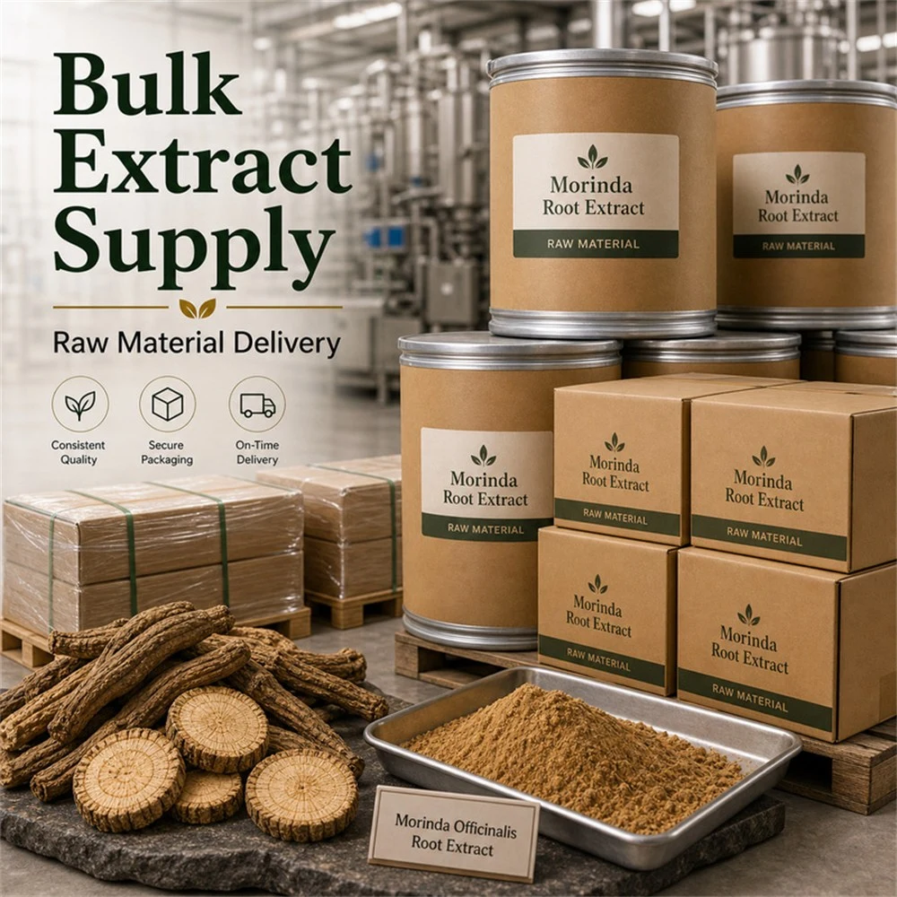 Morinda Officinalis Root Extract for Bulk Ingredient Sourcing product image 5