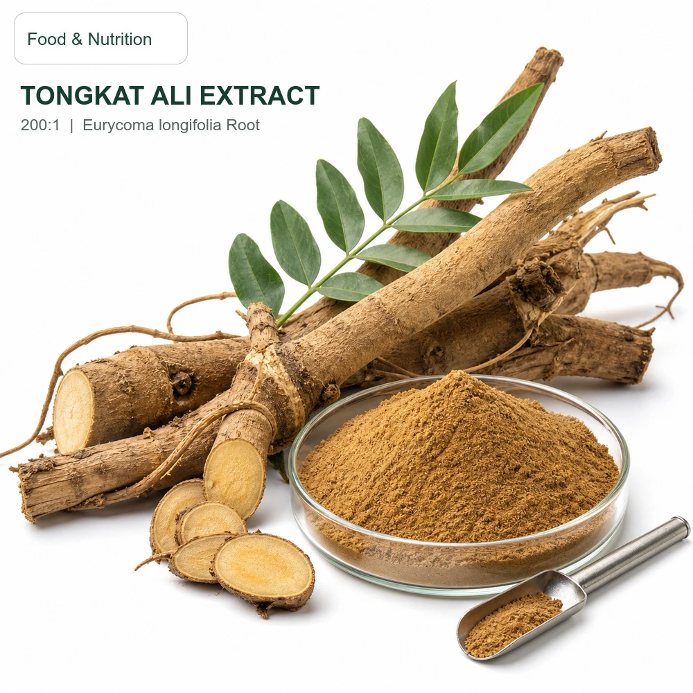 Tongkat Ali Extract 200:1 for Bulk Ingredient Sourcing