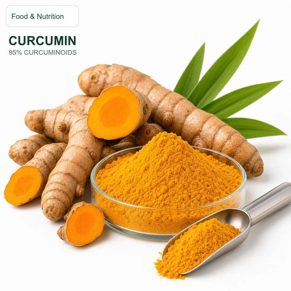 Curcumin 95% Curcuminoids for Bulk Ingredient Sourcing