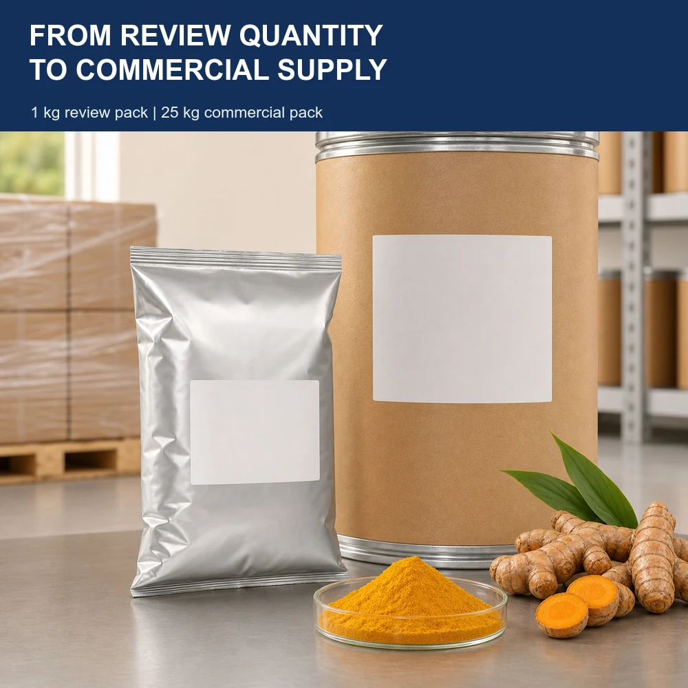 Curcumin 95% Curcuminoids for Bulk Ingredient Sourcing product image 6