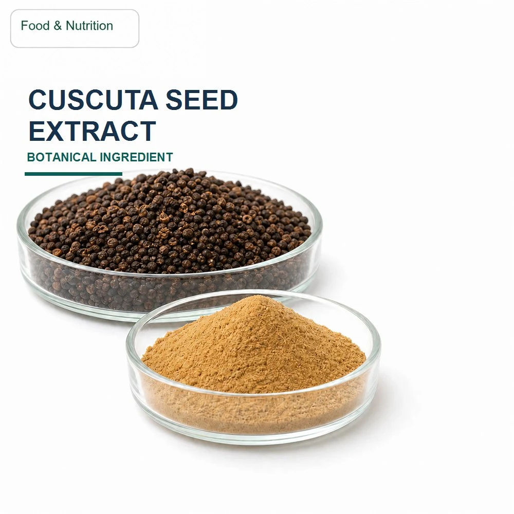 Cuscuta Seed Extract for Bulk Ingredient Sourcing