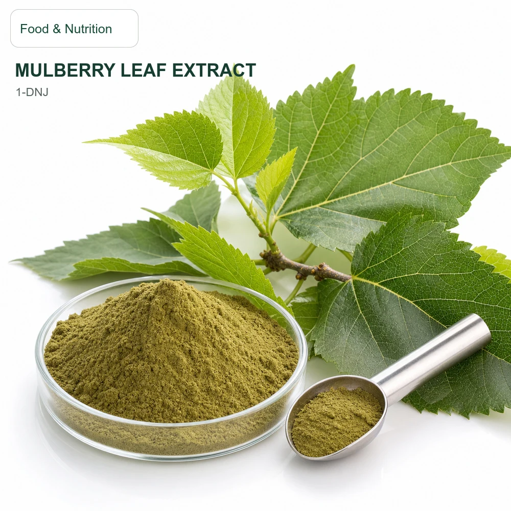 Mulberry Leaf Extract for Bulk Ingredient Sourcing