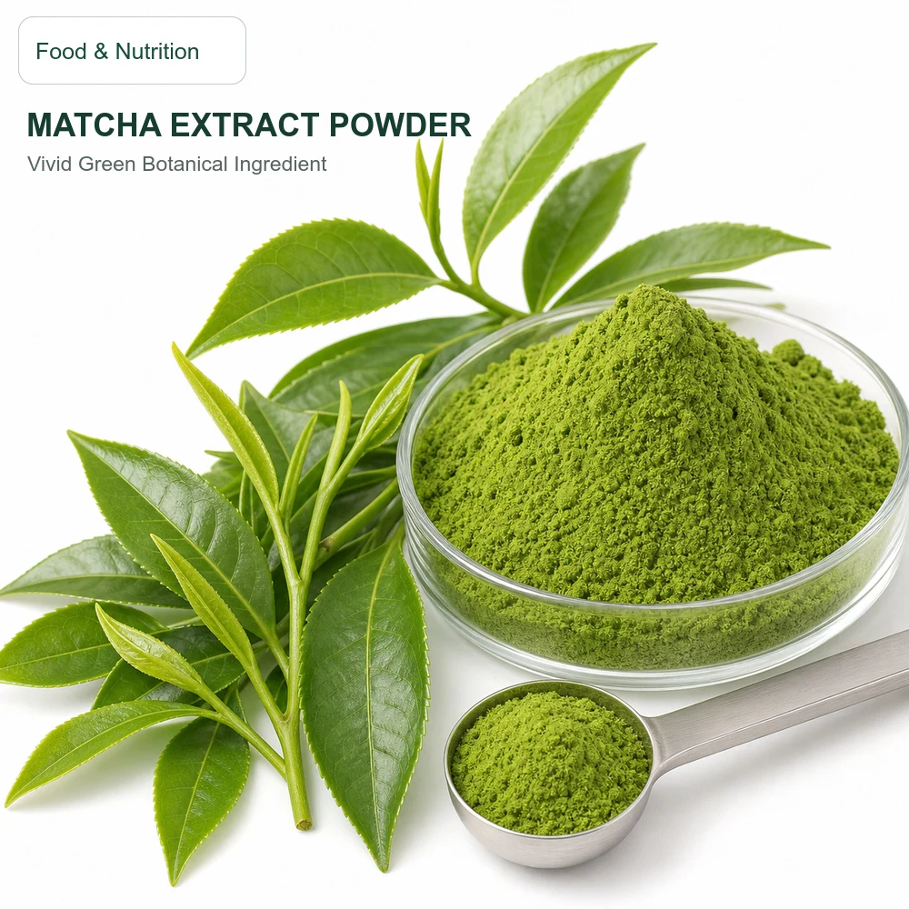 Matcha Extract for Botanical Ingredient Sourcing