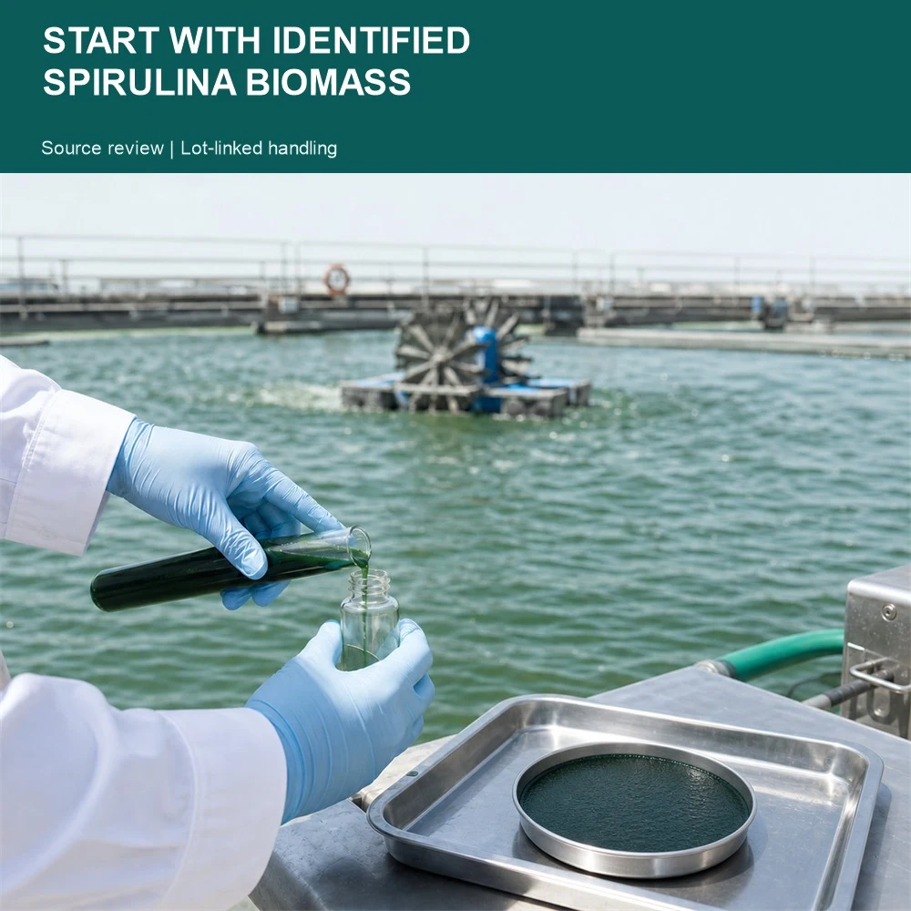 Spirulina Juice Ingredient ingredient and specification presentation
