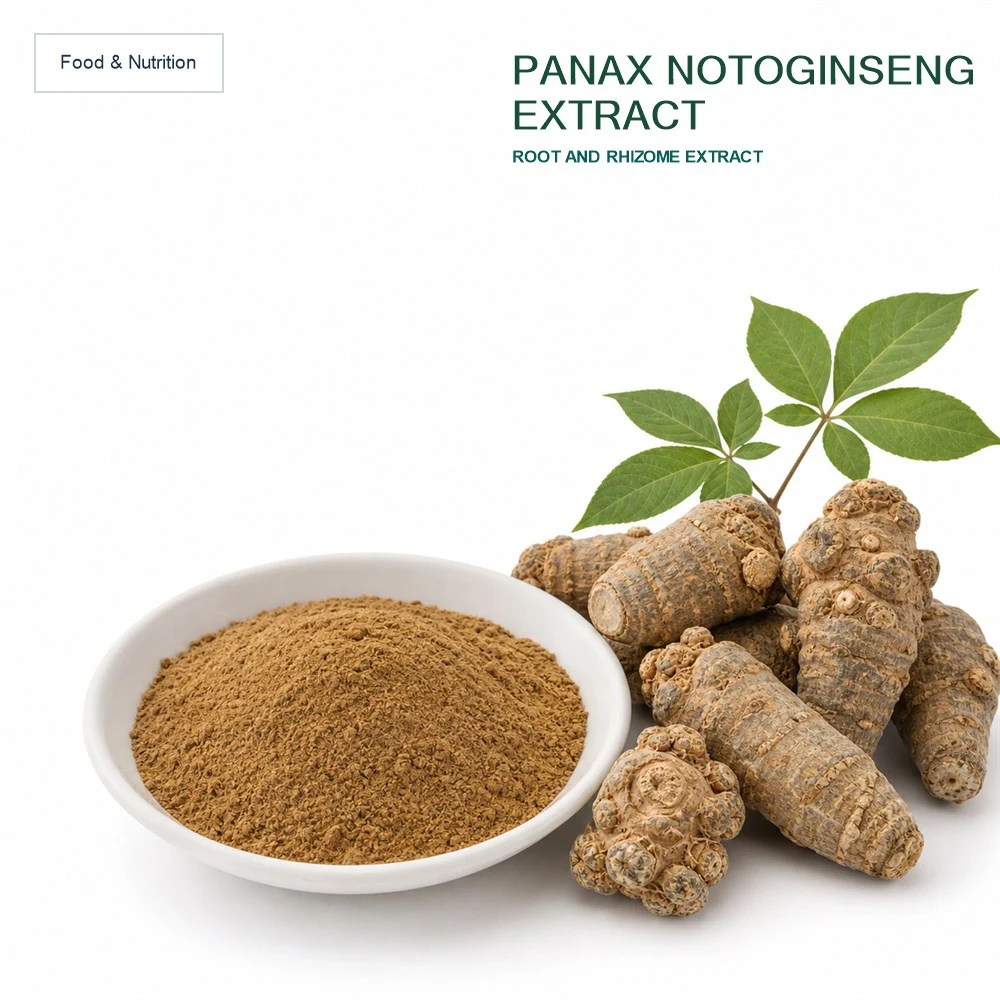 Panax Notoginseng Extract for Botanical Ingredient Sourcing