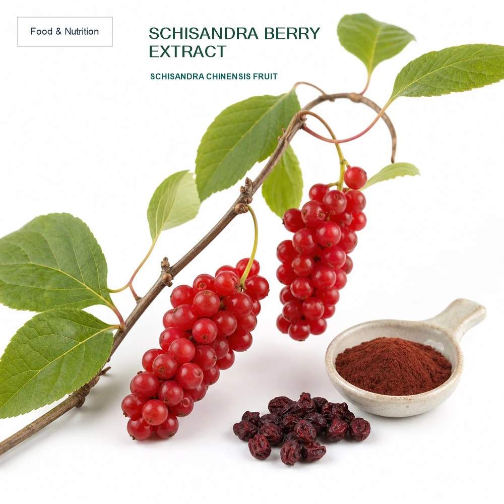 Five-Flavor Berry Extract for Formulation Project Review
