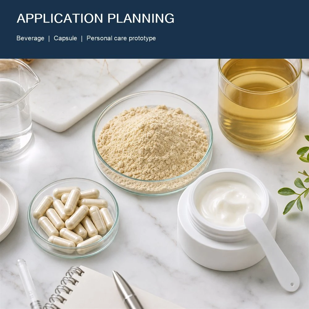 Panax Ginseng Root Extract quality and documentation presentation