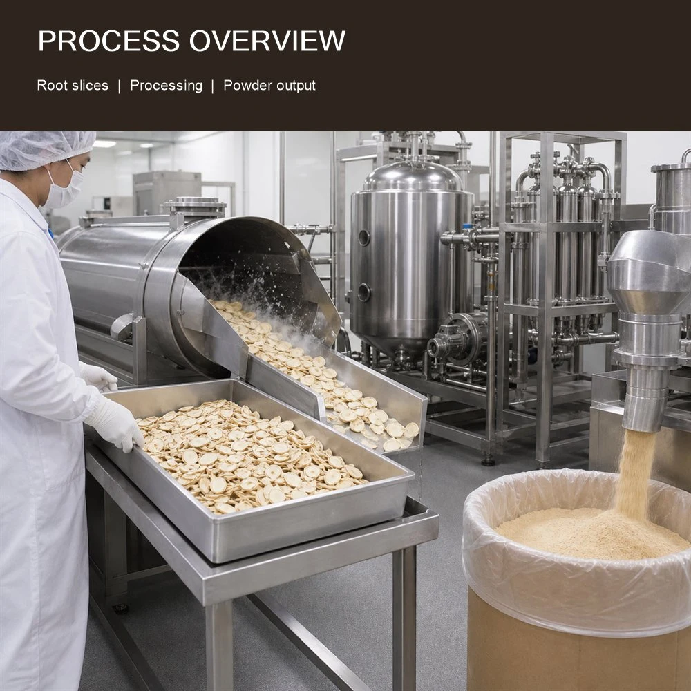 Ginseng Extract Project Option product format presentation